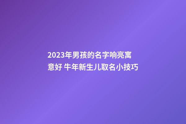 2023年男孩的名字响亮寓意好 牛年新生儿取名小技巧